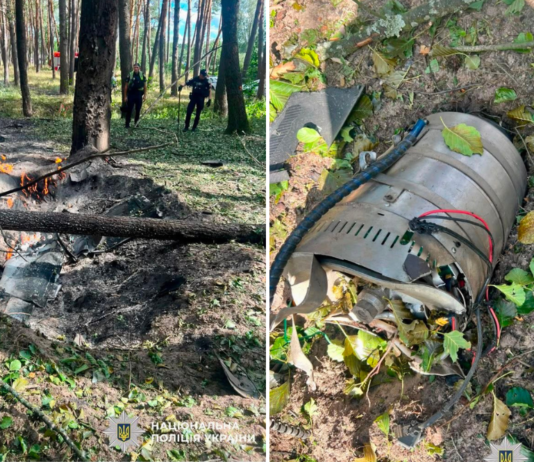 Пожежа на складах і в лісі: фото наслідків масованої атаки на Чернігів