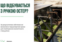Екологи перевірили річку Остер після скарг на зміну кольору води: що виявили