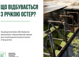 Екологи перевірили річку Остер після скарг на зміну кольору води: що виявили
