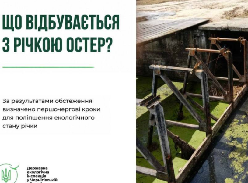Екологи перевірили річку Остер після скарг на зміну кольору води: що виявили
