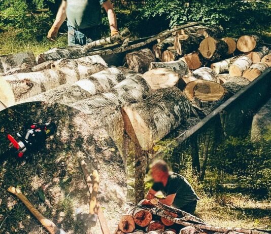 Причіп завантажений колодами берези: у Чернігові виявили порушення заготівлі деревини