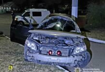 Смертельна ДТП на Чернігівщині: п’яний водій Kia злетів з дороги, загинув пасажир