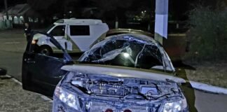 Смертельна ДТП на Чернігівщині: п’яний водій Kia злетів з дороги, загинув пасажир