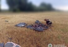 Один — поблизу села, інший — у полі: на Чернігівщині знешкодили два російські БпЛА