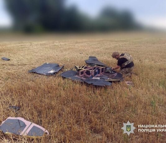 Один — поблизу села, інший — у полі: на Чернігівщині знешкодили два російські БпЛА