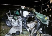 Авто врізалося в дерево на Чернігівщині: троє людей загинуло, серед них – неповнолітня