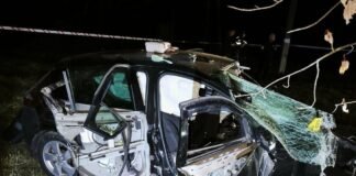 Авто врізалося в дерево на Чернігівщині: троє людей загинуло, серед них – неповнолітня