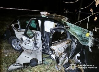 Авто врізалося в дерево на Чернігівщині: троє людей загинуло, серед них – неповнолітня