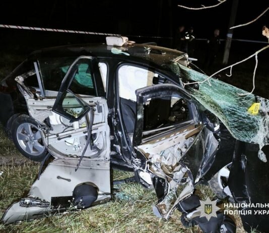 Авто врізалося в дерево на Чернігівщині: троє людей загинуло, серед них – неповнолітня