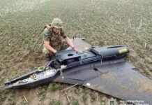 Один впав в полі, інший – на подвірʼї: на Чернігівщині знешкодили два російські БпЛА, збиті Силами оборони