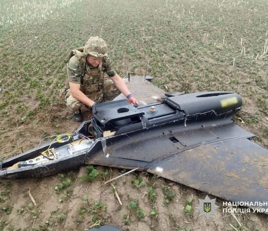 Один впав в полі, інший – на подвірʼї: на Чернігівщині знешкодили два російські БпЛА, збиті Силами оборони