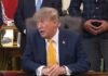 «Я его очень хорошо знаю»: Трамп пообещал, что Путин не будет атаковать страны НАТО (видео)